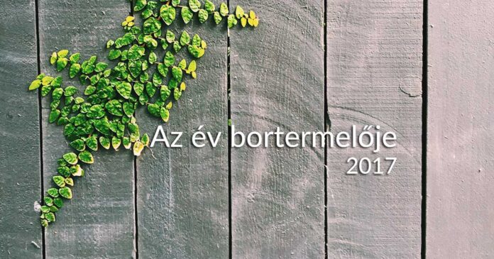 az év bortermelője