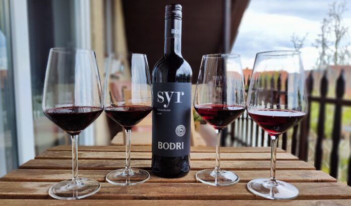 Bodri Syrah 2020