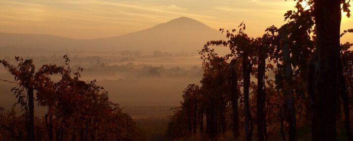 Mitől függ egy termőhely értéke Mitől függ egy termőhely értéke