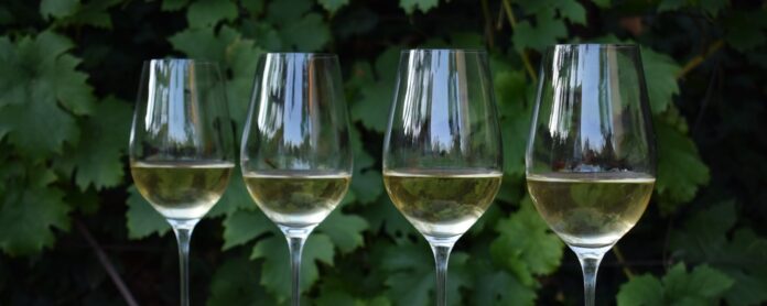 A fehérbor útja a szőlőtől a palackig